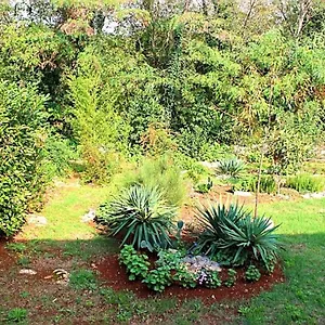  Apartament Jelena